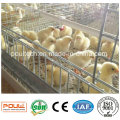 Layer Brotle Pullet Poultry Farm Cage Equipment